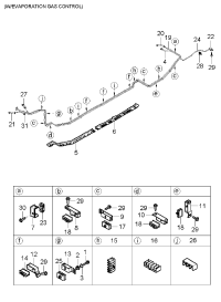 313533F000-HOSE-VAPOR TUBE TO PCSV