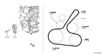 117203RC0B-BELT-FAN & ALTERNATOR