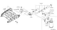 149124BB1D-HOSE EVAPO