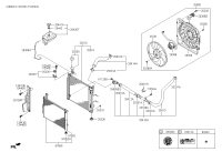 25412C1200-HOSE-RADIATOR LOWER