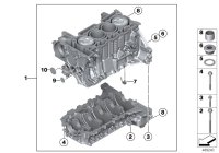 11112213109-Engine set with plunger