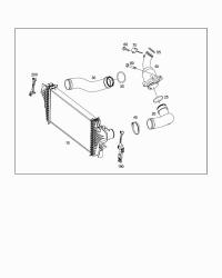 2515280582-SUPPLY HOSE