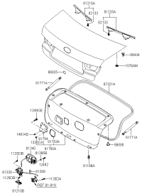 817710R000-LIFTER-TRUNK LID