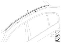 51137115191-Mldg roof paint lh