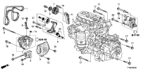 31110RL2G01-Belt, alternator