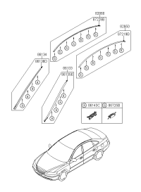 861313L010-MOULDING ASSY-W/SHLD SIDE LH