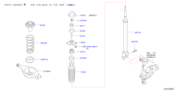 56210EG025-ABSORBER-SHOCK