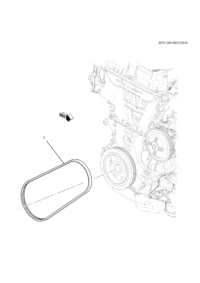 55583054-Belt, water pump