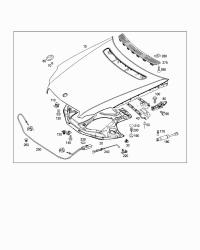 2198800157-BONNET