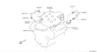 11823AL502-HOSE-BLOW BY,A