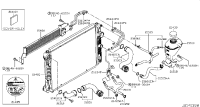 215034GB0A-HOSE-RADIATOR,LOWER