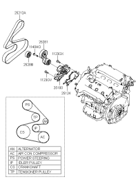 2521227400-V-RIBBED BELT