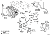 23820F2020-HOSE, FUEL VAPOR FEED, NO.1
