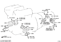 123710P190-INSULATOR, ENGINE MOUNTING, REAR NO.1