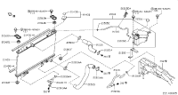 215019W100-HOSE-RADIATOR,UPPER