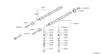 130209E002-CAMSHAFT ASSY-LH