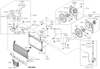 254153F500-HOSE-RADIATOR LOWER