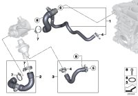 11534614609-Coolant hose