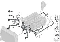 11537834052-RADIATOR HOSE/E60