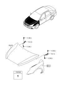 66311QD010-PANEL-FENDER LH