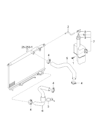 2541238160-HOSE-RADIATOR LOWER