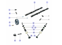 1003202GA-VALVE, INTAKE
