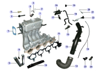 1008710GC-Hose comp, int