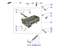 1003013GG010-VALVE EXHAUST
