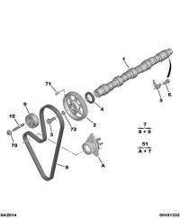081644-BELT TIMING