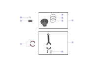 1004020GK030-PISTON SET (0.25