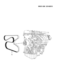 23900694-BELT,ACG