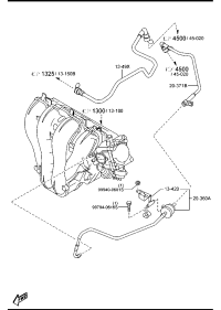 LF5020370D-HOSE