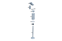 2560530000-VALVE, INTAKE