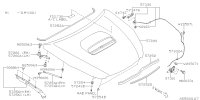 57229AJ0219P-HOOD CP F