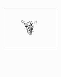 0029845329-BOLT