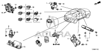 84439TZ5A00ZB-PULL POCK*NH167L*