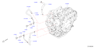 216344BB6A-HOSE-OIL COOLER