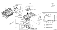 122971CA0A-RETAINER-OIL SEAL,REAR