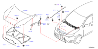 65820DF30B-SEAL HOOD FRONT