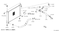 215023RA0B-HOSE-RADIATOR,UPPER