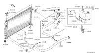 21501JN00C-HOSE-RADIATOR,UPPER