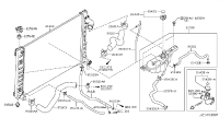 215015UV0A-HOSE-RADIATOR,UPPER