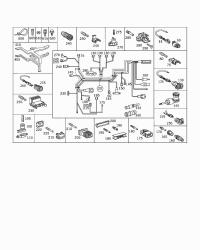 2024403706-CORD,SHORT