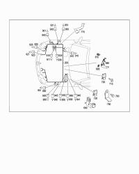 2305402513-CORD,SHORT