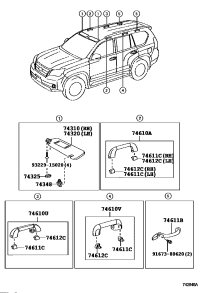 7461148010A1-GRIP, ASSIST