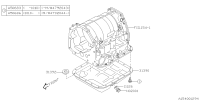 31390AA081-PAN COMPL-OIL TM