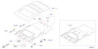 739101CK2C-HEADLINING ASSY