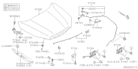 57229SJ0019P-HOOD CP F