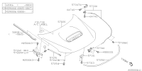 57229SC0019P-HOOD CP F