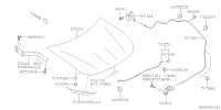 57229CA0009P-HOOD CP F